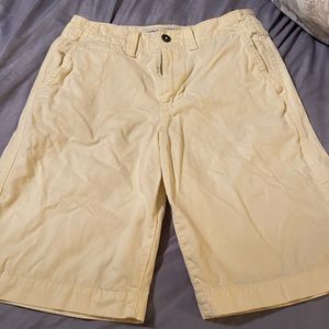 Men’s American Eagle Longboard shorts size 29